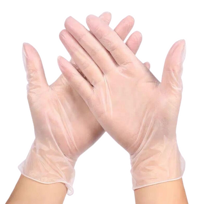 Clear Vinyl Disposable Gloves - Powder Free